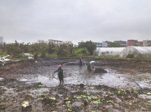 襄汾河道鱼塘清淤